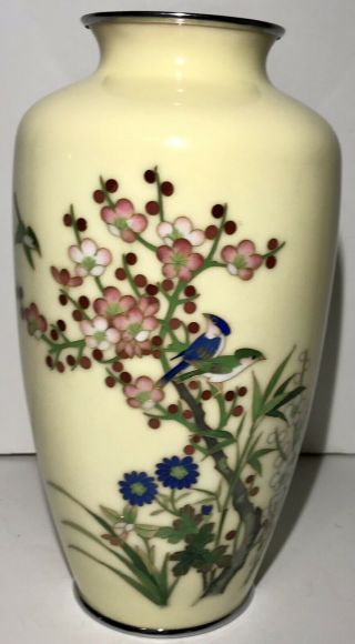Silver Rim & Bottom Japanese Cloisonne Vase With Birds Flowers Creamy Yellow