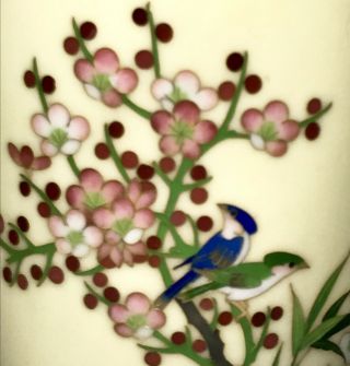 Silver Rim & Bottom Japanese Cloisonne vase With Birds Flowers Creamy Yellow 3