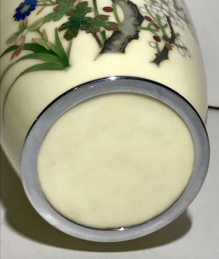 Silver Rim & Bottom Japanese Cloisonne vase With Birds Flowers Creamy Yellow 6
