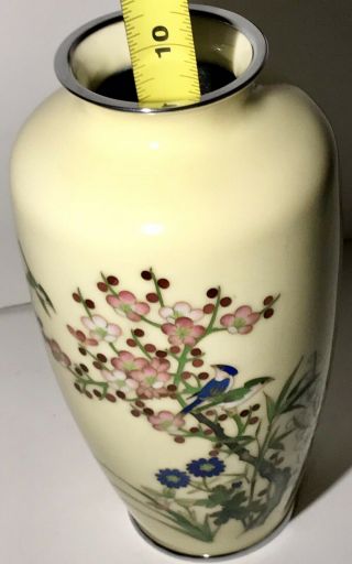 Silver Rim & Bottom Japanese Cloisonne vase With Birds Flowers Creamy Yellow 8