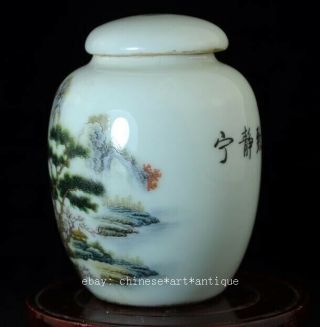 Chinese Old Hand - made Famille - rose Porcelain Hand Painted Landscape Tea Pot B01 2