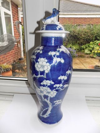 Antique Chinese Blue & White Prunus Decorated Vase And Cover H 32 Cm