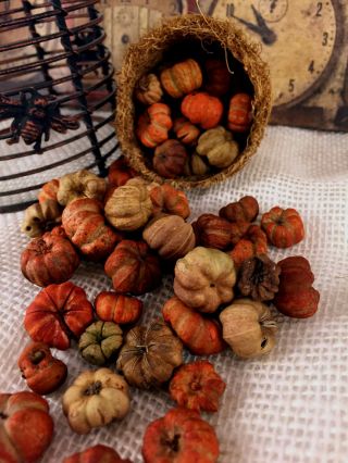 5 Cups Bright Orange & Natural Putka Pods Mini Pumpkin Potpourri Halloween