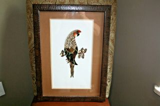 Vintage Parrot Art Deco Piece,  Created Out Of Butterfly Wing,  Custom Frame