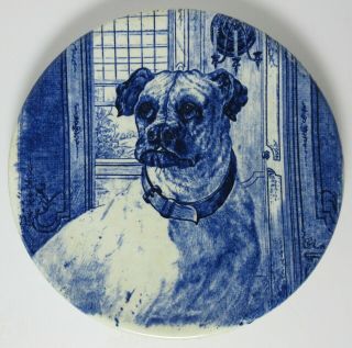 Antique Pug Dog Porcelain Plate T.  C.  Brown Westhead & Moore Blue 19th Century