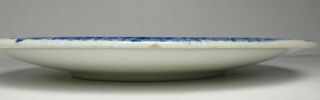 Antique PUG DOG Porcelain PLATE T.  C.  BROWN WESTHEAD & MOORE BLUE 19th Century 2