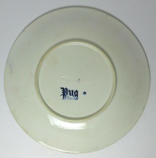 Antique PUG DOG Porcelain PLATE T.  C.  BROWN WESTHEAD & MOORE BLUE 19th Century 4