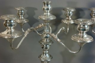 LG Antique ENGLISH SILVER Plate GEORGIAN CANDELABRA Old DINING TABLE CANDLESTICK 4