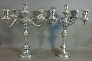 LG Antique ENGLISH SILVER Plate GEORGIAN CANDELABRA Old DINING TABLE CANDLESTICK 8