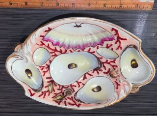 Oyster Plate Antique Porcelain Oyster Plate C1800 