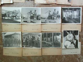 34 WWII US Army CBI China Nationalist KMT FATC Veterinary Students & Care Photos 2