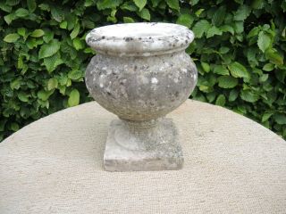 Small Antique Marble Stone Garden Urn 25 cm high (606) 4