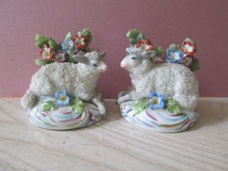 Pair Antique Staffordshire Curly Lambs & Flowers Gold Anchor Chelsea Mark