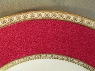 EXQUISITE SET 10 OLD WEDGWOOD ULANDER RUBY POWDER 8 