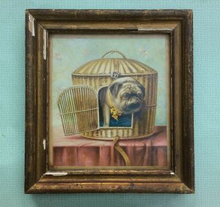 Early 20th Century,  Framed Picture Of A Pug Dog And It 