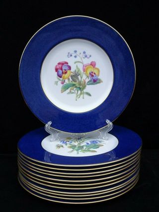 12 Vintage Copeland Spode Dinner Plates W/ Floral Sprays & Cobalt Rim Y2876