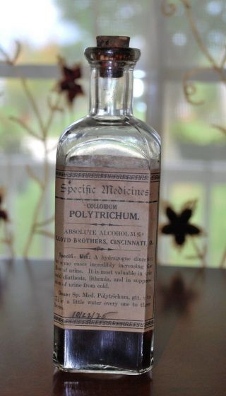 Antique Pharmacy Medicine Lloyd Brothers Polytrichum For Urinary Organs
