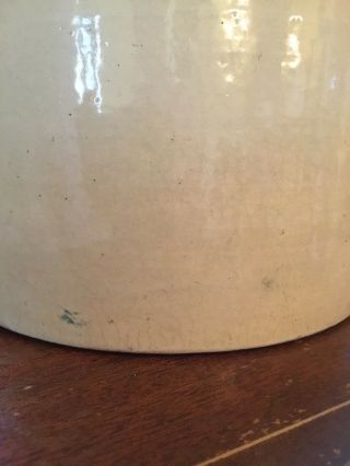 Antique 3 Gallon Stoneware Crock With Cobalt Blue Beesting 6