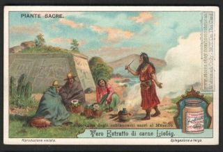 Sacred Hallucinagenic Cactus Indian Ritual Mexico C1914 Trade Ad Card