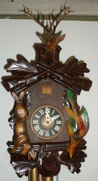 German Black Forest Albert Schwab Hand Carved Hunter Deer Cuckoo Clock