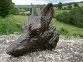 19thc Black Forest Oak Carved Fox Head C.  1870 