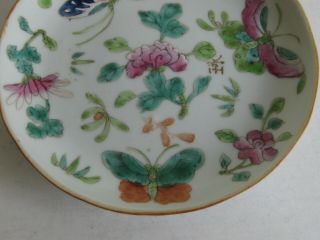 Fine Old Chinese Porcelain Hand Painted Enameled Butterfly Plate Bowl SIGNED 2 3