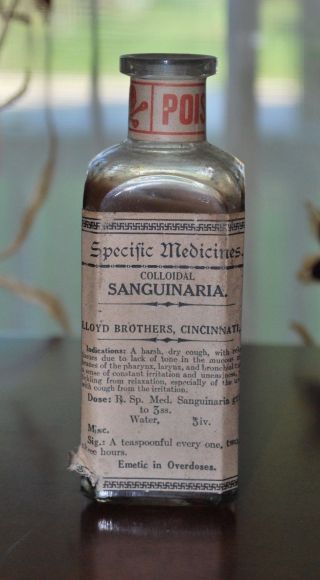 Antique Pharmacy Medicine Lloyd Brothers Sanguinaria For Respiratory Apparatus