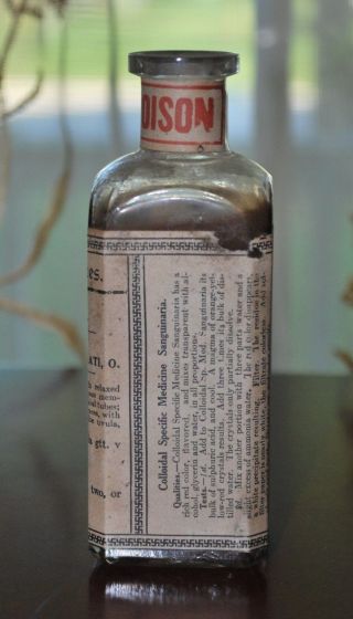 ANTIQUE PHARMACY MEDICINE LLOYD BROTHERS SANGUINARIA FOR RESPIRATORY APPARATUS 2