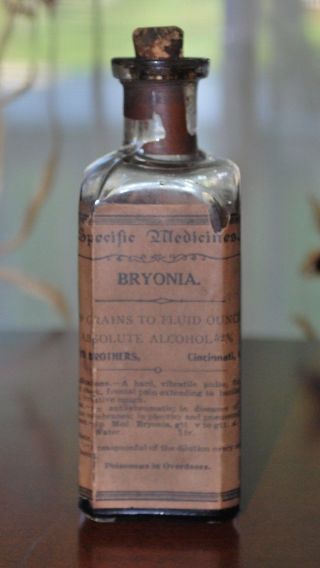 Antique Pharmacy Medicine Lloyd Brothers Bryonia For Rheumatism