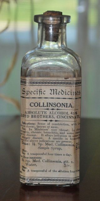 Antique Pharmacy Medicine Lloyd Brothers Collinsonia For Hemorrhoids/hoarseness