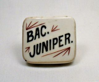 Bac.  Juniper Antique Porcelain Apothecary Drug Store Cabinet Knob Drawer Pull