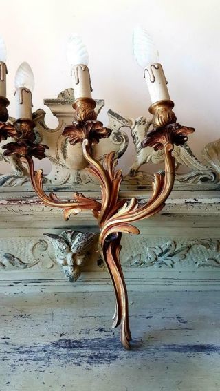 Stunning Antique French Rococo Bronzed Ormolu Acanthus Leaf Wall Light Sconces