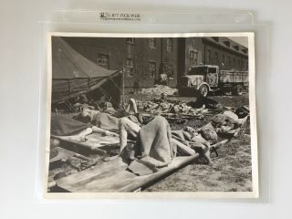 Wwii Concentration Camp Holocaust Medic Photograph Liberation 9.  5 X 6.  5