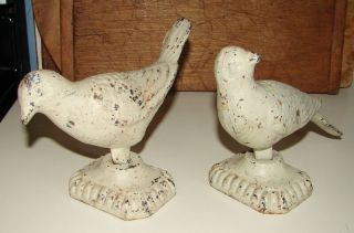 Pair Antique Architectural Cast Iron White Dove Bird Bookends