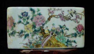 Chinese Old Porcelain Maizhen Hand Painted Flowers And Birds B02