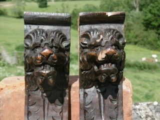 Pr 18thc Gothic Oak Carved Lion Head Corbels