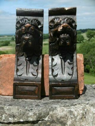 Pr 18thc GOTHIC OAK CARVED LION HEAD CORBELS 6