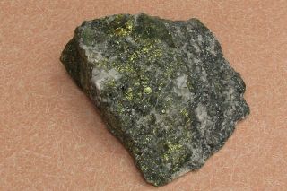 Large Mineral Specimen Of Gold - Silver Ore,  From The Camp Bird Mine,  Colo.