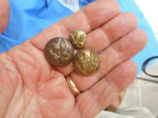 Civil War Union Yankee Coat Buttons Infantry & Cavalry