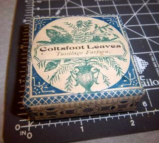 Vintage Huber & Co Coltsfoot Leaves,  1900s Pharmacy Box,  Fond Du Lac Wisc.