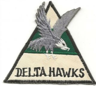 Vietnamese Made 244th Aviation Company Delta Hawks Ov - 1 Mohawk Unit Pocket Patch