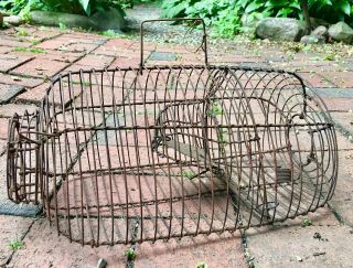 Old Antique Vtg Primitive Wire Mouse Rat Trap Cage Live Catch Release 12 1/2 "