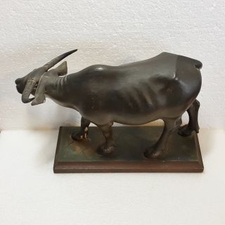 Exceptional 19th Chinese Hand Carved Wood Water Buffalo. 7