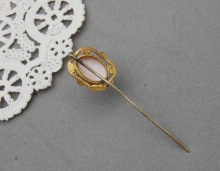 White Angel Skin Coral Carved Cameo Stick Pin Antique Gold Tone 2 3/8 