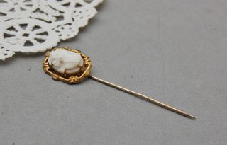 White Angel Skin Coral Carved Cameo Stick Pin Antique Gold Tone 2 3/8 