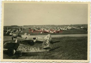 Wwii Photo - Several Captured German Folke - Wulf Fw 190 Fighter Planes