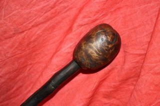 Remarkable Antique Irish Thorn Wood Shillelagh W/Greatest Burl Knob EVER 6