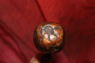 Remarkable Antique Irish Thorn Wood Shillelagh W/Greatest Burl Knob EVER 7
