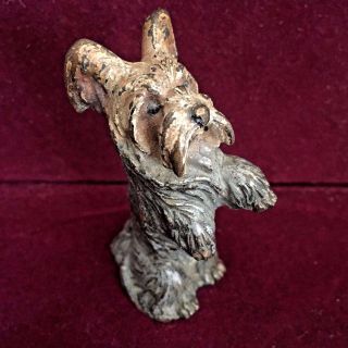 Antique Cold Painted Vienna Miniature Bronze Terrier Dog
