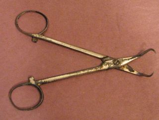 Vintage Old Medical Instrument Tool Forceps Tweezers